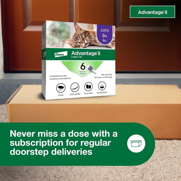 Advantage II Large Cat Flea Treatment - Cats Over 9 lbs - 6-Month Supply - Image 7