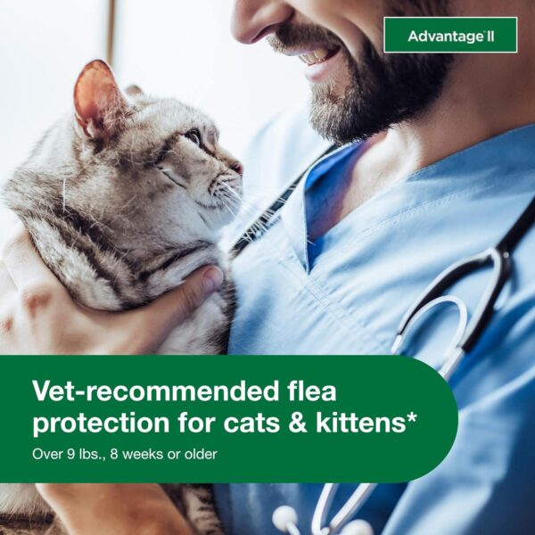 Advantage II Large Cat Flea Treatment - Cats Over 9 lbs - 6-Month Supply - Image 4