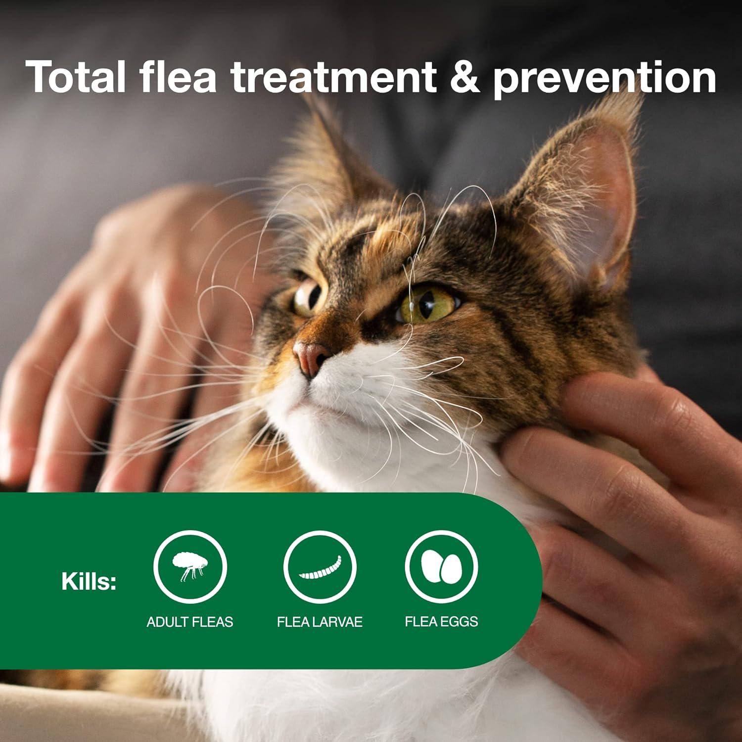 Advantage II Large Cat Flea Treatment - Cats Over 9 lbs - 6-Month Supply - Image 3