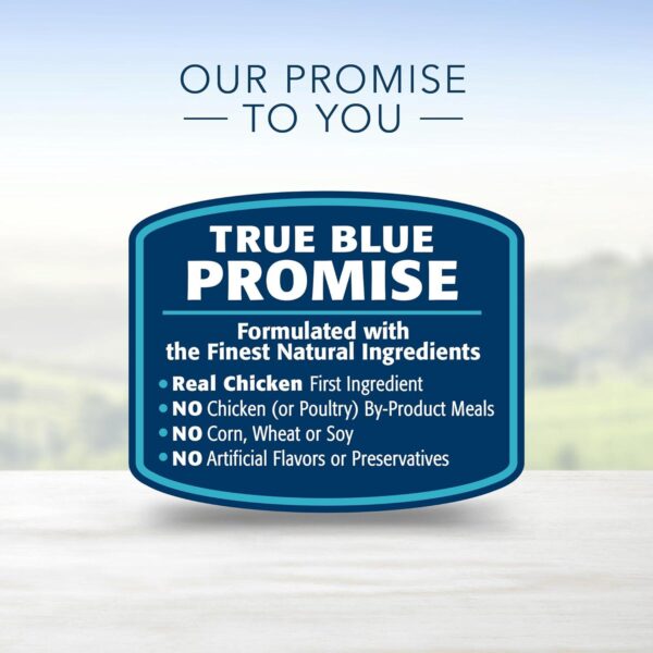 BLUE Life Protection Formula Natural Adult Dry Dog Food, Chicken and Brown Rice 30-lb - Image 7