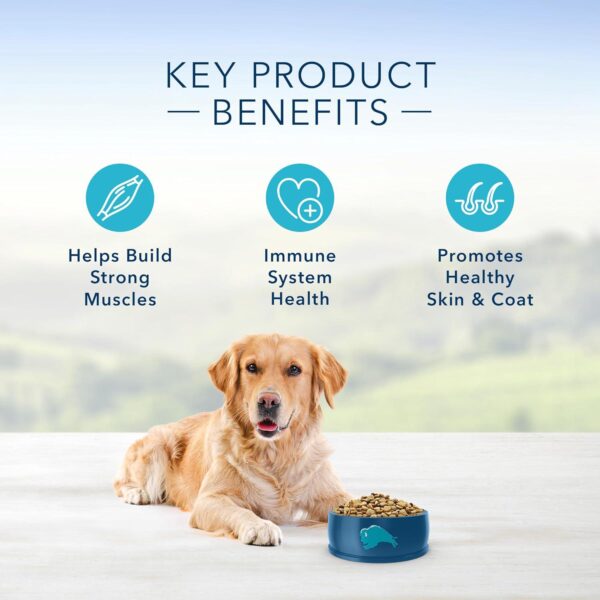 BLUE Life Protection Formula Natural Adult Dry Dog Food, Chicken and Brown Rice 30-lb - Image 5