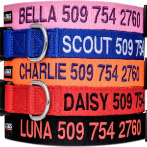 GoTags Personalized Dog Collar - Custom Embroidered with Pet Name and Phone Number - Adjustable Sizes and Colors