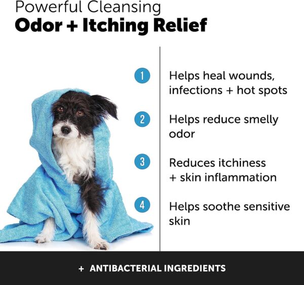 Pet Honesty Chlorhexidine Cat and Dog Anti-Itch Shampoo - Soothes Allergies, Itching, Hot Spots, Deodorizing - 16oz - Image 3