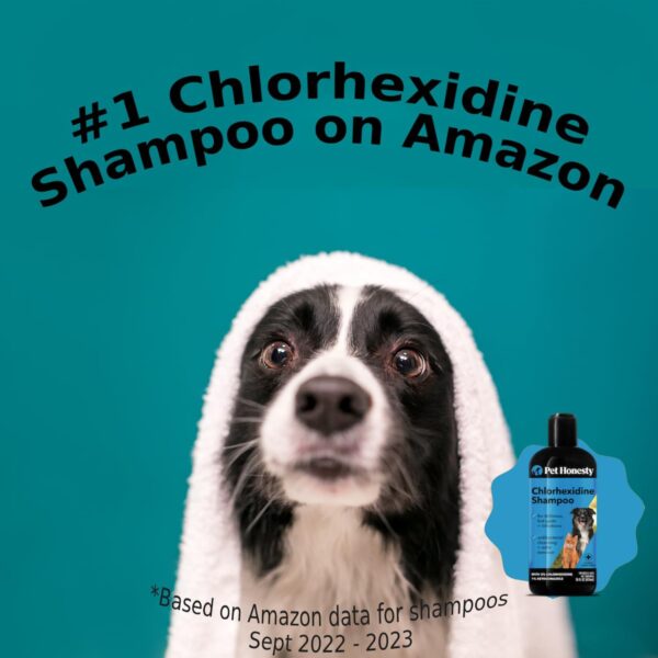 Pet Honesty Chlorhexidine Cat and Dog Anti-Itch Shampoo - Soothes Allergies, Itching, Hot Spots, Deodorizing - 16oz - Image 2