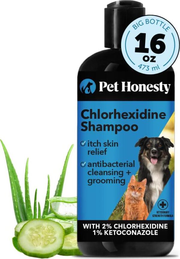 Pet Honesty Chlorhexidine Cat and Dog Anti-Itch Shampoo - Soothes Allergies, Itching, Hot Spots, Deodorizing - 16oz