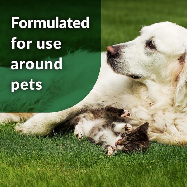 Simple Green Outdoor Odor Eliminator for Pets, Dogs 1 Gallon Refill - Keep Your Artificial Lawn and Patio Fresh and Clean - Image 6